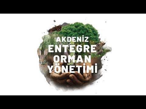 Akdeniz Entegre Orman Yönetimi Projesi - UNDP Türkiye