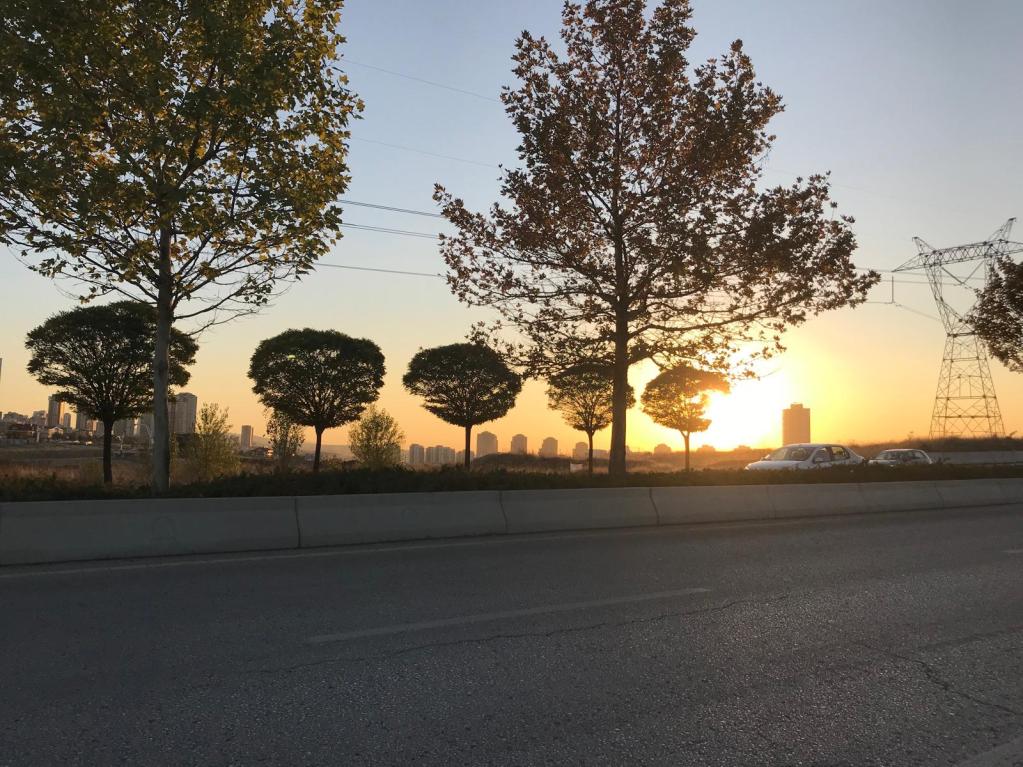 Sun sets behind the trees on a road