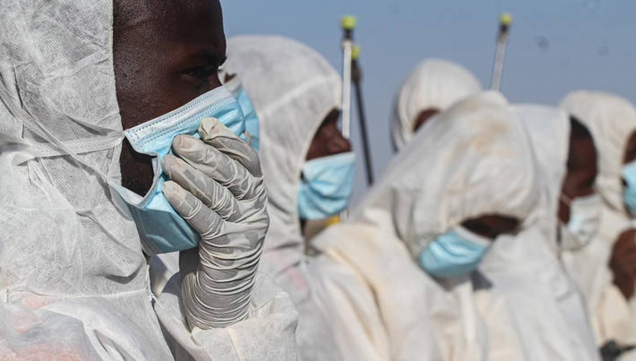 Participants in FAO's Desert locust response work in Somalia wearing face masks