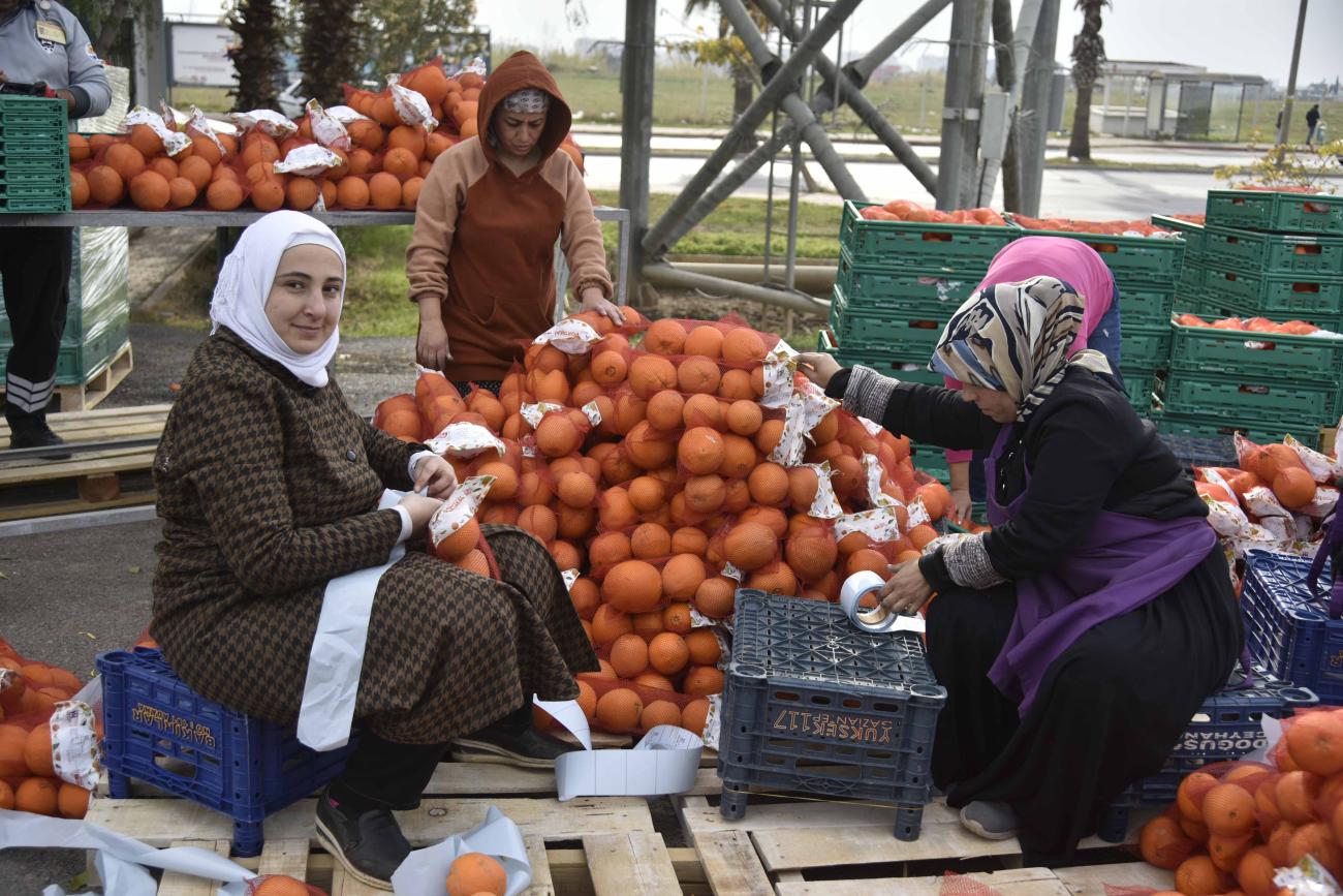 Three women are packing oranges
