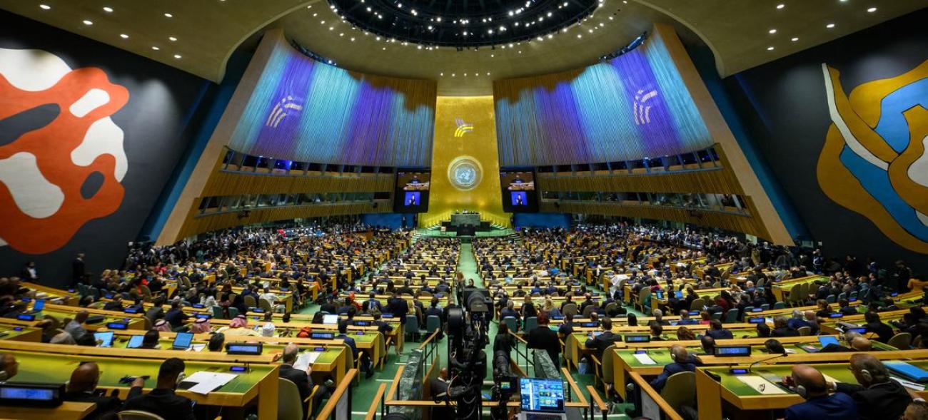 View of UN General Assembly