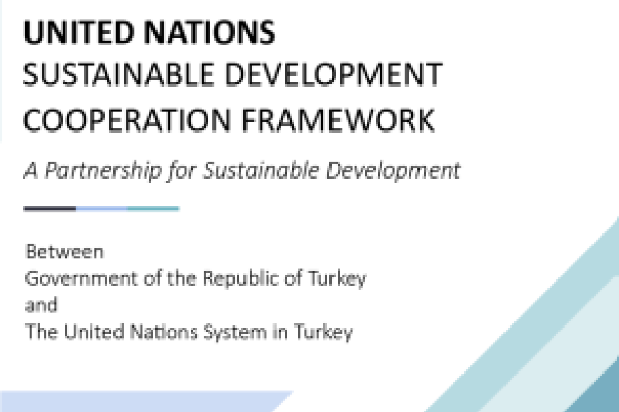 United Nations Sustainable Development Cooperation Framework (UNSDCF ...