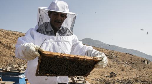 Duran and his beehives in Turkey