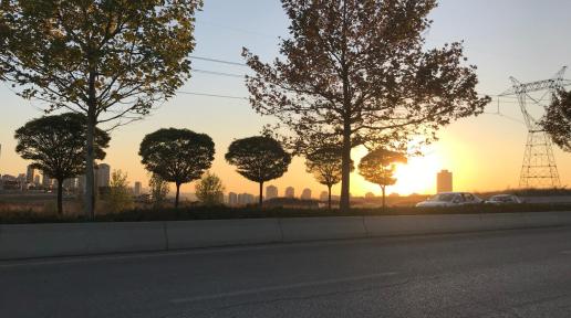 Sun sets behind the trees on a road